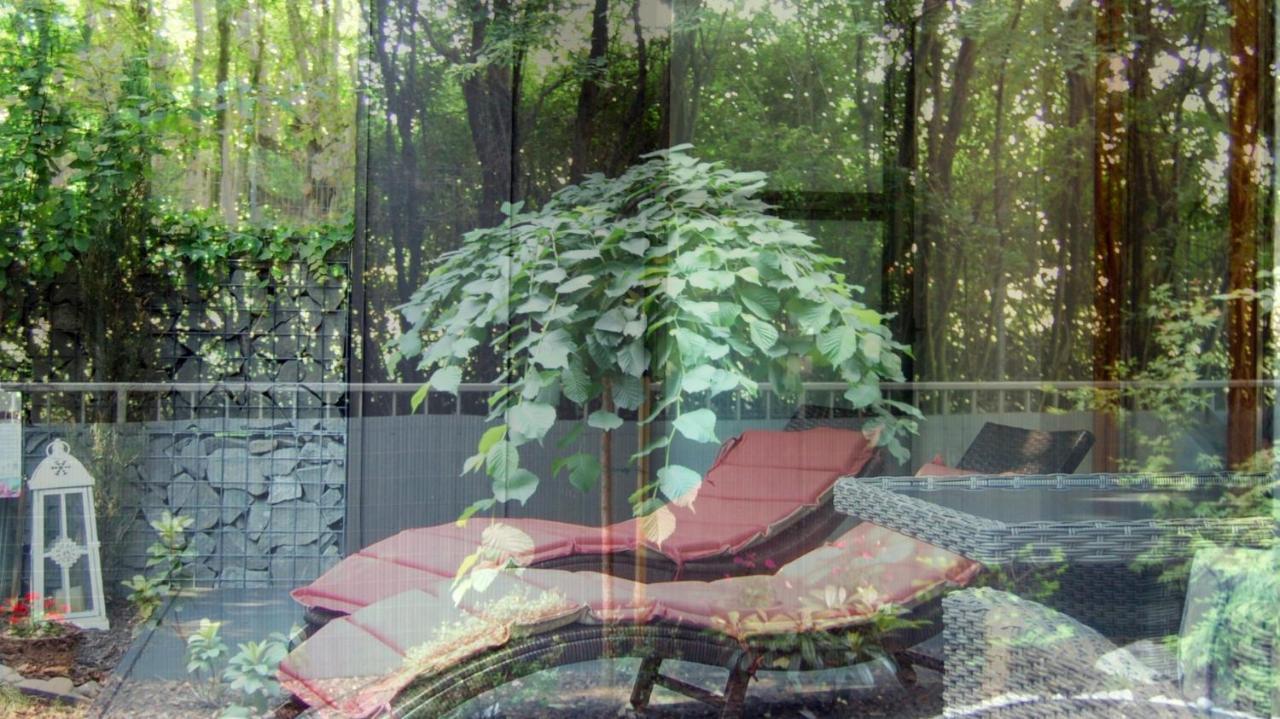 Apartament Mecenasa クラクフ エクステリア 写真